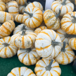 Pumpkin Display at Holland Farmers Market